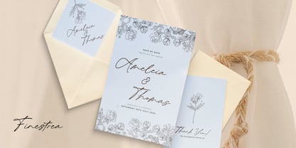 Finestrea Font Poster 9