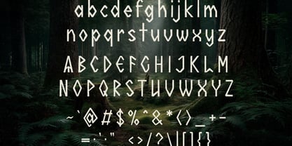 Nordic Omen Font Poster 9