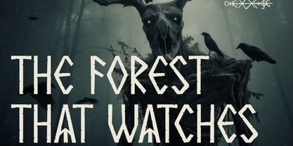 Nordic Omen Font Poster 7
