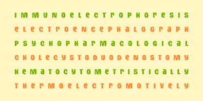 Charro Font Poster 10