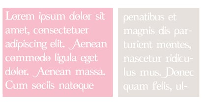 PN Beautimous Font Poster 7