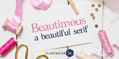 PN Beautimous Font Poster 4