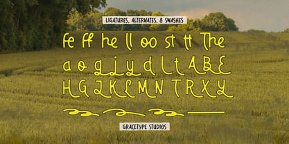 Dirello Meadow Font Poster 12
