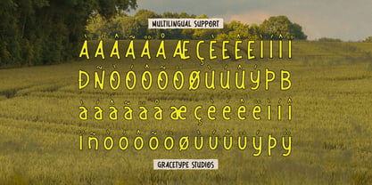 Dirello Meadow Font Poster 11