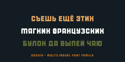 Rochia Font Poster 6