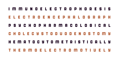 Rochia Font Poster 11
