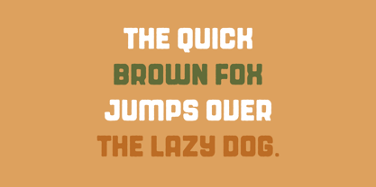 Rochia Font Poster 7