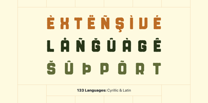 Rochia Font Poster 2