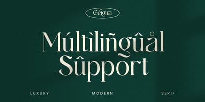 Gelgira Font Poster 12