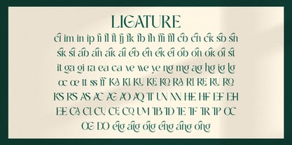 Gelgira Font Poster 11