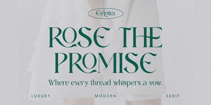 Gelgira Font Poster 3