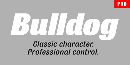 Bulldog Pro Italic Font Poster 1