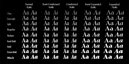 Gustian Font Poster 2