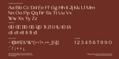 Velocia Font Poster 13