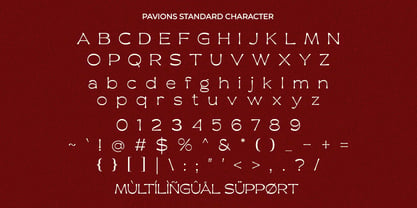 Favions Font Poster 9