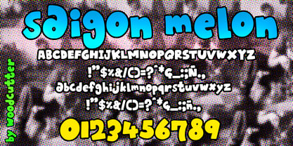 Saigon Melon Font Poster 5