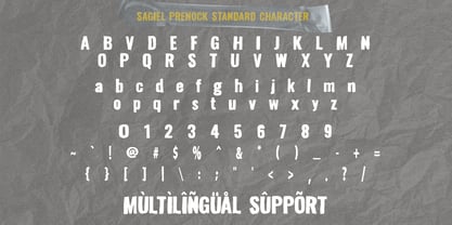 Sagiel Prenock Font Poster 10