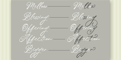 Roselife Font Poster 8