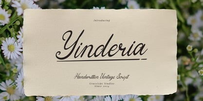 Yinderia Font Poster 1