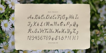 Yinderia Font Poster 10