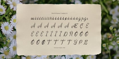 Yinderia Font Poster 11