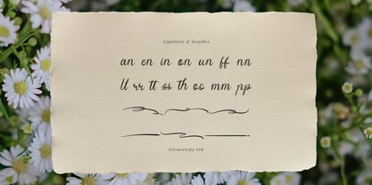 Yinderia Font Poster 12
