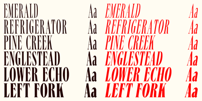 Angusta Font Poster 2