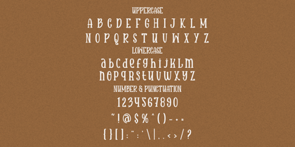 Maison Veloria Font Poster 5