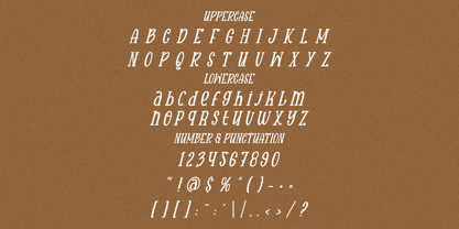 Maison Veloria Font Poster 6
