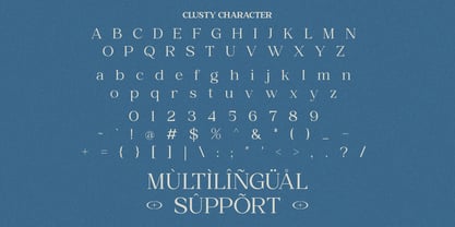 Clusty Font Poster 10