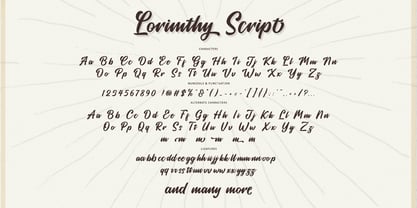 Lorimthy Script Font Poster 8