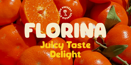 Corva Round Font Poster 4