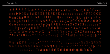 Castlon Font Poster 15
