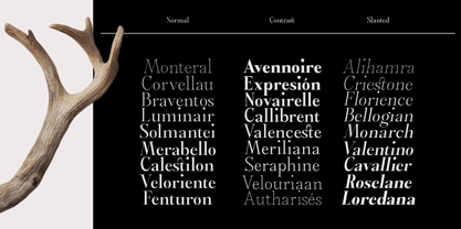 Castlon Font Poster 14