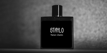 Staylo Font Poster 7