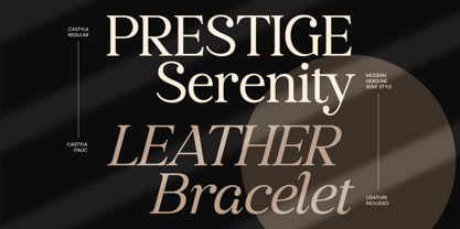 Castyla Font Poster 9