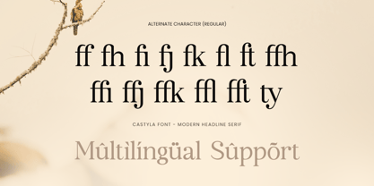 Castyla Font Poster 14