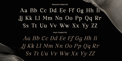 Castyla Font Poster 12