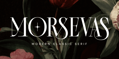 Morsevas Font Poster 1