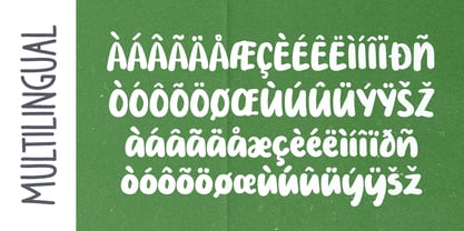 PG Boneti Font Poster 5
