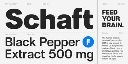 Dnv Rounded Font Poster 2