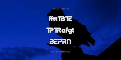 Dejorn Font Poster 12