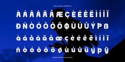 Dejorn Font Poster 11