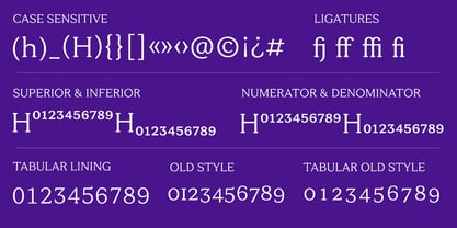 Tonkin Serif Font Poster 7