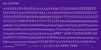 Tonkin Serif Font Poster 8