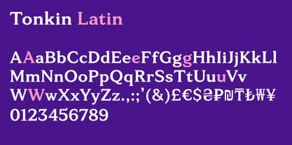 Tonkin Serif Font Poster 5
