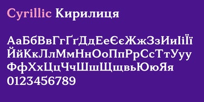 Tonkin Serif Font Poster 6