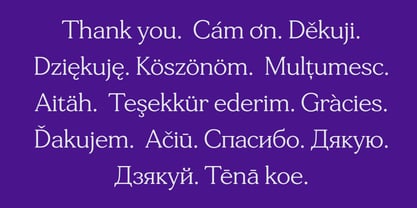 Tonkin Serif Font Poster 14
