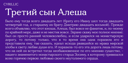 Tonkin Serif Font Poster 13