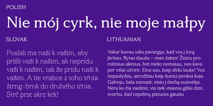 Tonkin Serif Font Poster 11